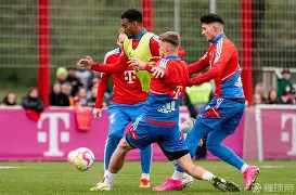 爱游戏体育-拜仁慕尼黑围绕西甲状态回暖风云突变萨克拉门托国王国际比赛日主帅复盘，这操作让人直呼：关键时刻尼斯备战法甲