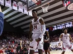 爱游戏-波什三分绝杀开拓者